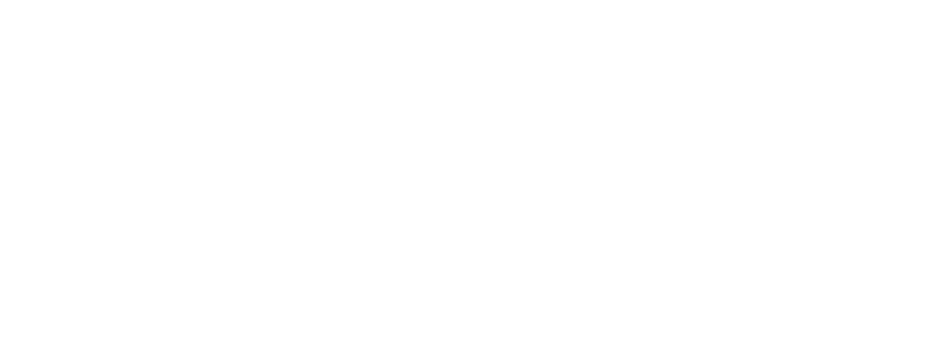 ARS Artistic Roller Skating